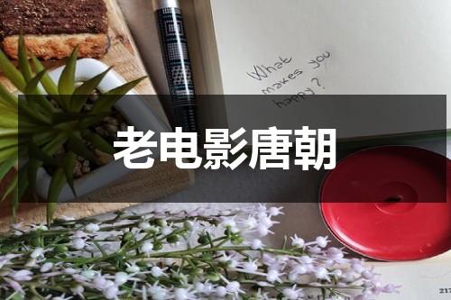 老电影唐朝（老电影唐朝妃子逃出古墓）-第1张图片-九妖电影