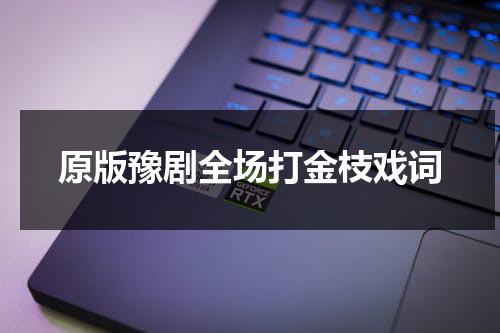 原版豫剧全场打金枝戏词（豫剧打金枝选段视频）-第1张图片-九妖电影
