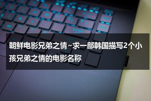 朝鲜电影兄弟之情~求一部韩国描写2个小孩兄弟之情的电影名称（韩国喜剧任昌丁）-第1张图片-九妖电影