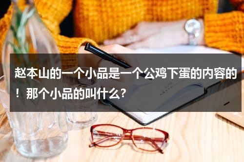 赵本山的一个小品是一个公鸡下蛋的内容的！那个小品的叫什么？（赵本山宋丹丹小品下蛋公鸡公鸡中的战斗机）-第1张图片-九妖电影