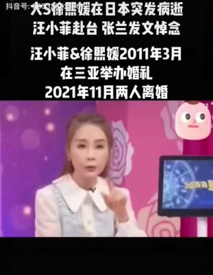 大S去世引发舆论风波，汪小菲封号背后真相探讨-第1张图片-九妖电影
