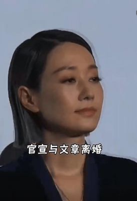 姚笛复出引发的性别双标争议：为何女性犯错难以翻身？-第1张图片-九妖电影