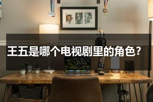 王五是哪个电视剧里的角色？（王五为什么去告驴）-第1张图片-九妖电影