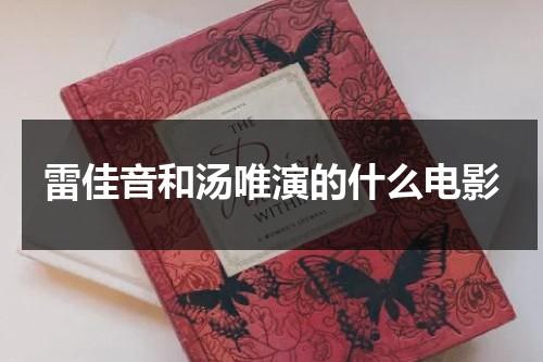 雷佳音和汤唯演的什么电影（雷佳音与汤唯的关系）-第1张图片-九妖电影