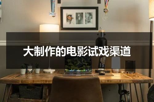 大制作的电影试戏渠道（电影试映会是什么）-第1张图片-九妖电影