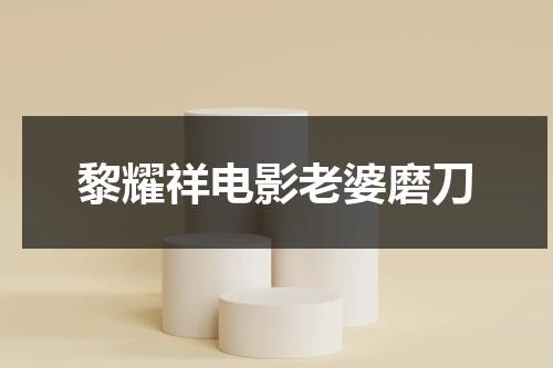 黎耀祥电影老婆磨刀（黎耀祥和罗兰演的电影有哪些）-第1张图片-九妖电影