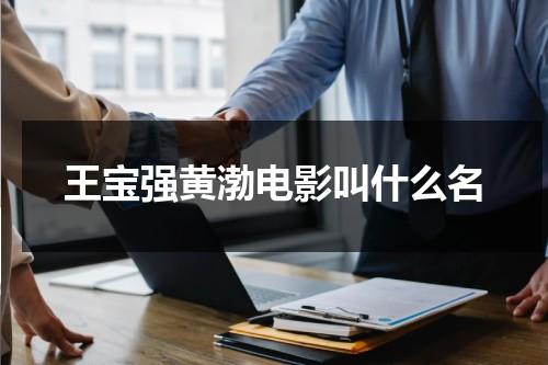 王宝强黄渤电影叫什么名（王宝强黄渤演的电影叫什么名字）-第1张图片-九妖电影