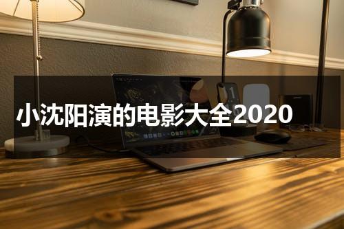 小沈阳演的电影大全2020（小沈阳演的电影大全2020）-第1张图片-九妖电影