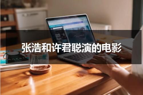 张浩和许君聪演的电影（张浩和许君聪合作的电影）-第1张图片-九妖电影