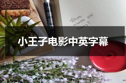 小王子电影中英字幕（小王子电影中英对照版）-第1张图片-九妖电影