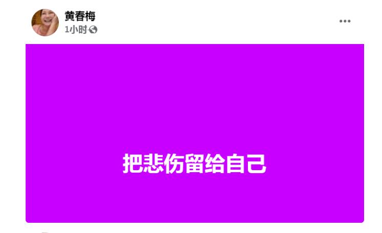 S妈首发动态：把悲伤留给自己-第1张图片-九妖电影