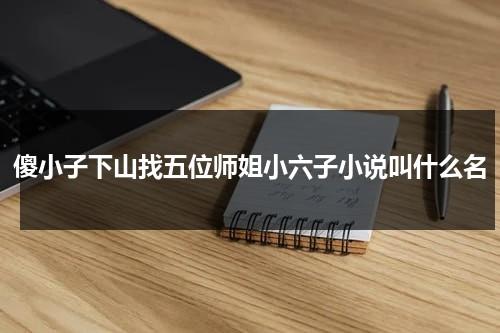傻小子下山找五位师姐小六子小说叫什么名（傻小子下山师父叫他找五个师姐小六子）-第1张图片-九妖电影