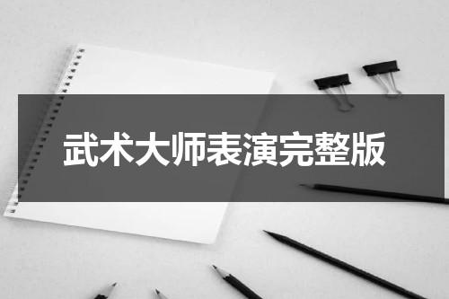 武术大师表演完整版（武术大师对战）-第1张图片-九妖电影