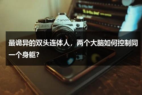 最诡异的双头连体人，两个大脑如何控制同一个身躯？（美国双头连体人）-第1张图片-九妖电影