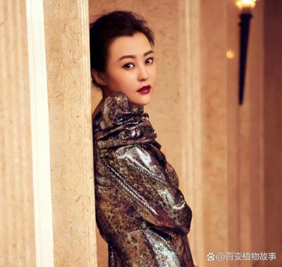 郝蕾：坚强多情的女人，背负痛苦与追寻幸福的精彩人生-第1张图片-九妖电影