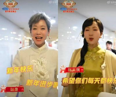 开工不停，赵雅芝与中医养生综艺新风潮-第1张图片-九妖电影