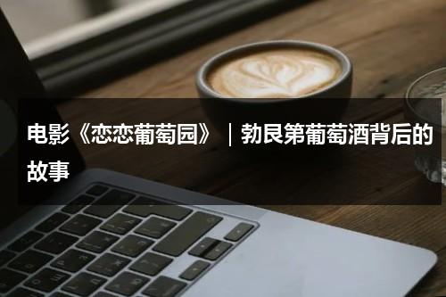 电影《恋恋葡萄园》｜勃艮第葡萄酒背后的故事（我想看恋恋不忘中吴桐）-第1张图片-九妖电影
