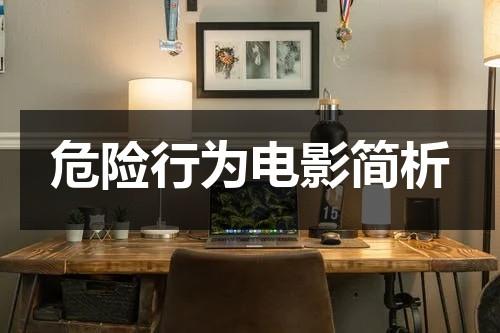 危险行为电影简析（危险行为下载）-第1张图片-九妖电影