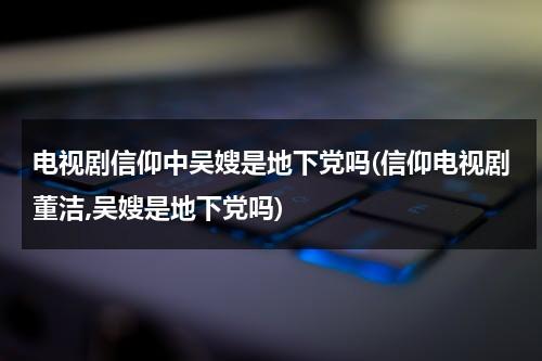 电视剧信仰中吴嫂是地下党吗(信仰电视剧董洁,吴嫂是地下党吗)（信仰赵安妮）-第1张图片-九妖电影
