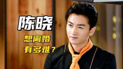陈晓与陈妍希离婚：从甜蜜爱恋到和平分手的十年回顾-第2张图片-九妖电影