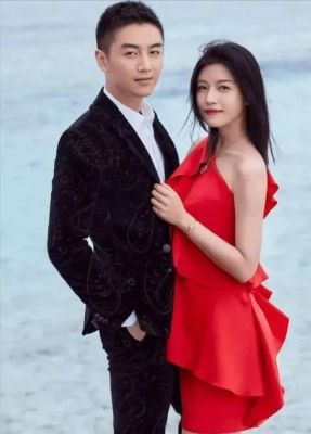 陈妍希、陈晓官宣离婚，娱乐圈爱情风波解析-第1张图片-九妖电影