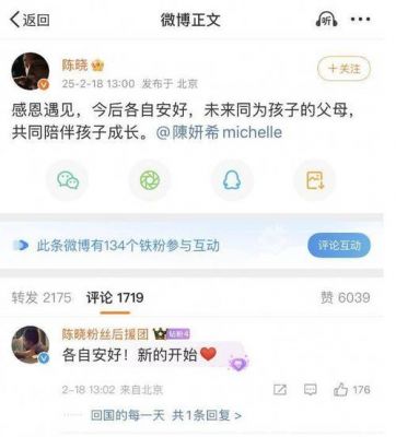 陈晓与陈妍希官宣离婚，背后原因揭晓令人唏嘘-第1张图片-九妖电影