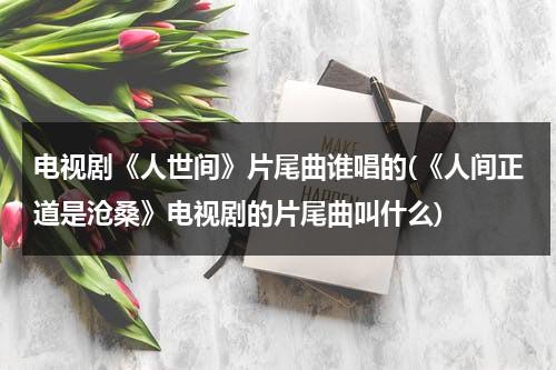电视剧《人世间》片尾曲谁唱的(《人间正道是沧桑》电视剧的片尾曲叫什么)（人间世片头曲纯音乐）-第1张图片-九妖电影