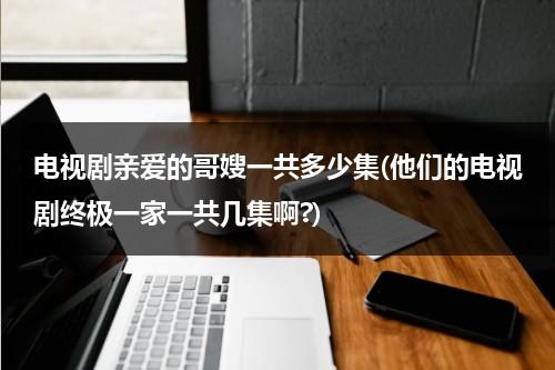 电视剧亲爱的哥嫂一共多少集(他们的电视剧终极一家一共几集啊?)（亲爱的哥哥歌词）-第1张图片-九妖电影