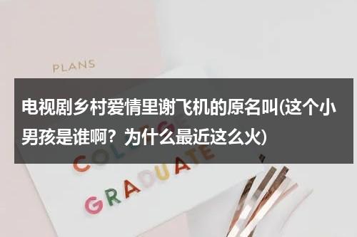 电视剧乡村爱情里谢飞机的原名叫(这个小男孩是谁啊？为什么最近这么火)（乡村爱情里谢腾飞是亲生的吗）-第1张图片-九妖电影