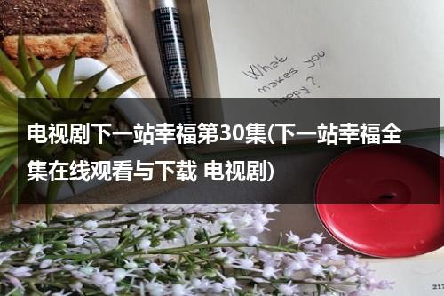 电视剧下一站幸福第30集(下一站幸福全集在线观看与下载 电视剧)（下一站幸福40集在线观看）-第1张图片-九妖电影