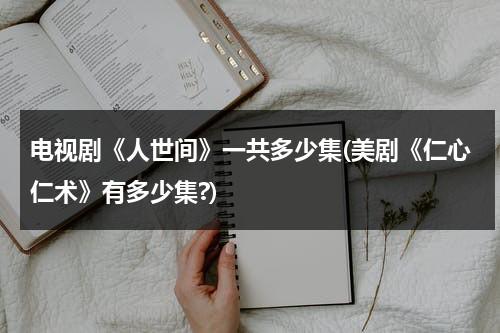 电视剧《人世间》一共多少集(美剧《仁心仁术》有多少集?)（人间世闫宏微）-第1张图片-九妖电影