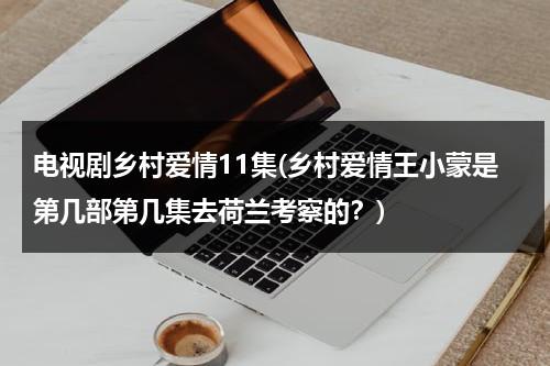 电视剧乡村爱情11集(乡村爱情王小蒙是第几部第几集去荷兰考察的？)（乡村爱情王小蒙第几集检查出怀孕了）-第1张图片-九妖电影
