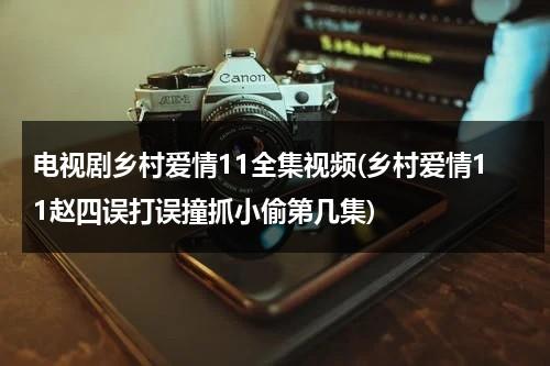 电视剧乡村爱情11全集视频(乡村爱情11赵四误打误撞抓小偷第几集)（乡村爱情11第四集赵四喝酒）-第1张图片-九妖电影