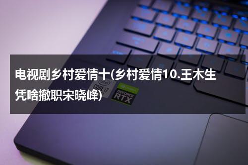 电视剧乡村爱情十(乡村爱情10.王木生凭啥撤职宋晓峰)（乡村爱情13王木生大个干仗）-第1张图片-九妖电影