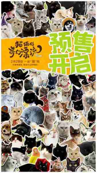 前方高萌！猫猫头来袭《猫猫的奇幻漂流》曝海报（猫猫的奇妙之旅04-21直播实录）-第1张图片-九妖电影