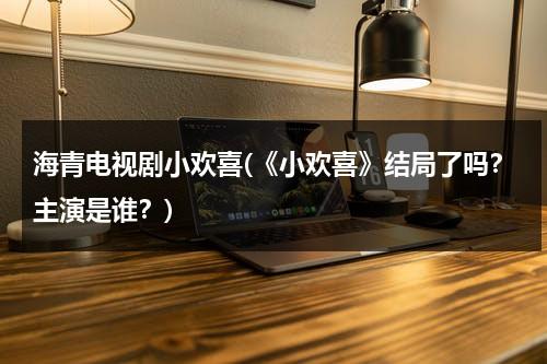 海青电视剧小欢喜(《小欢喜》结局了吗？主演是谁？)（小欢喜海清剧照图片壁纸高清）-第1张图片-九妖电影