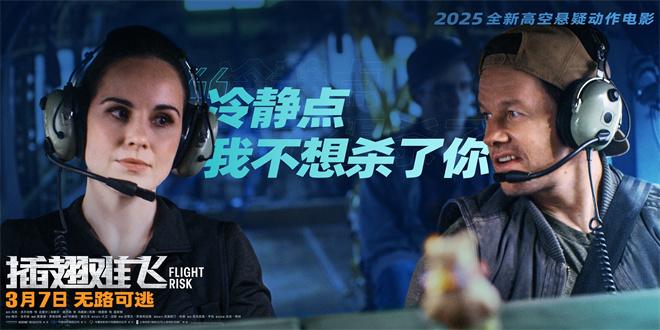 密闭机舱对峙杀手!梅尔·吉布森《插翅难飞》曝海报（插翅难飞的主要演员表）-第1张图片-九妖电影