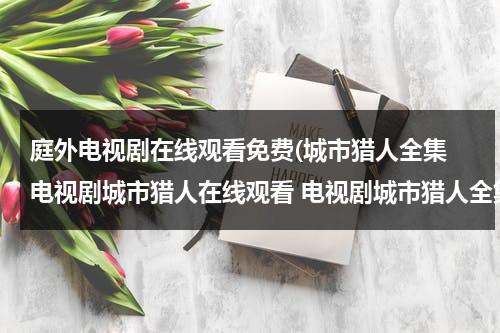庭外电视剧在线观看免费(城市猎人全集 电视剧城市猎人在线观看 电视剧城市猎人全集免费观看？)（《庭外辩护》）-第1张图片-九妖电影