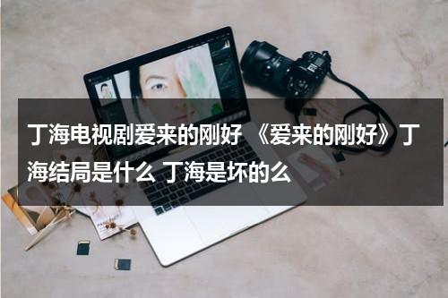 丁海电视剧爱来的刚好 《爱来的刚好》丁海结局是什么 丁海是坏的么（爱来的刚好结局丁海）-第1张图片-九妖电影