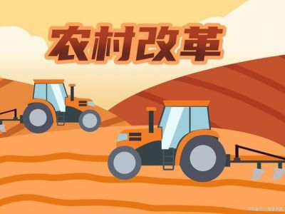农场三姐妹：用创新精神打造现代农业典范-第1张图片-九妖电影