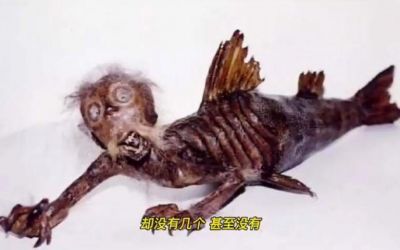 鲛人真实存在吗？探秘中国古代神话中的神秘生物-第1张图片-九妖电影