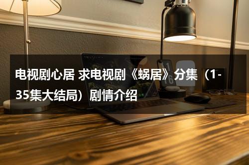 电视剧心居 求电视剧《蜗居》分集（1-35集大结局）剧情介绍（新版蜗居h67）-第1张图片-九妖电影