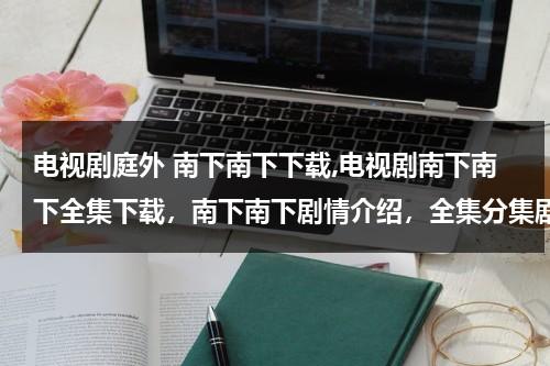 电视剧庭外 南下南下下载,电视剧南下南下全集下载，南下南下剧情介绍，全集分集剧情简介（电视剧庭外辩护）-第1张图片-九妖电影