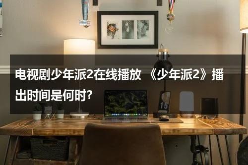 电视剧少年派2在线播放 《少年派2》播出时间是何时？（少年派2什么时候上映在哪个台）-第1张图片-九妖电影