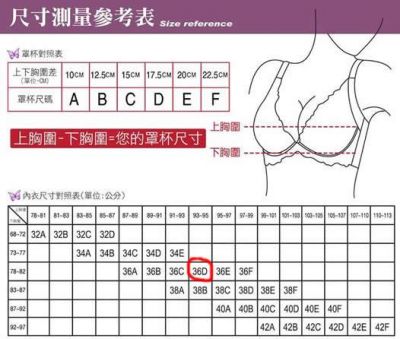 揭秘36D胸围：真实尺寸与大众偏见分析-第1张图片-九妖电影