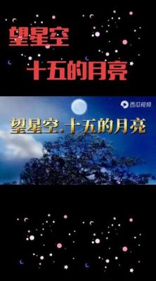 星月映衬归途远—《星空无限回家过年5部曲·7》-第1张图片-九妖电影