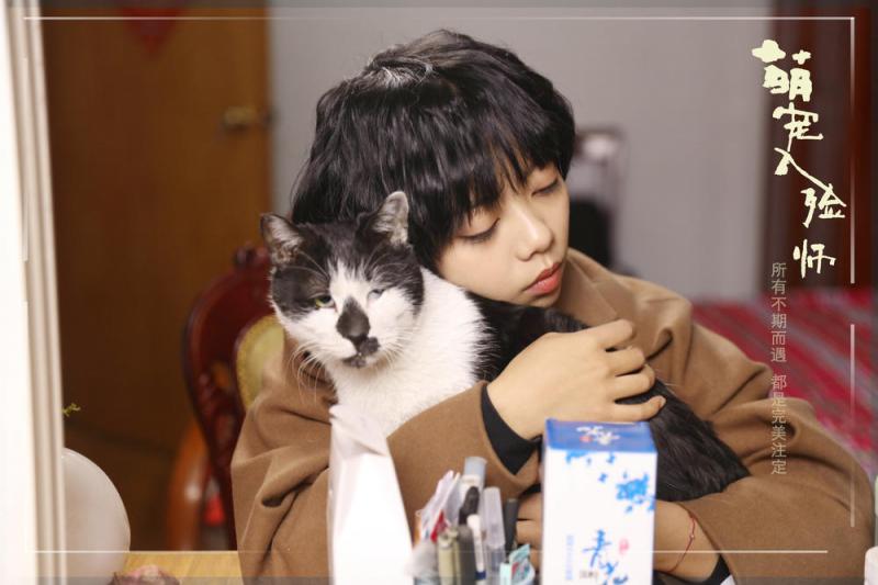 萌宠入殓师 Pet Deapartures-第5张图片-九妖电影