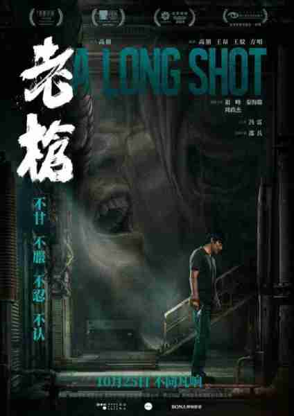 老枪 A Long Shot-第2张图片-九妖电影