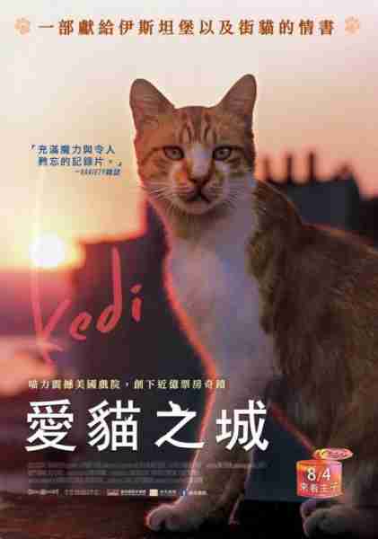 爱猫之城 Kedi-第2张图片-九妖电影