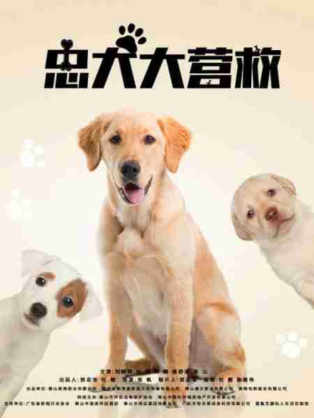 忠犬大营救-第2张图片-九妖电影